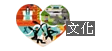 文化